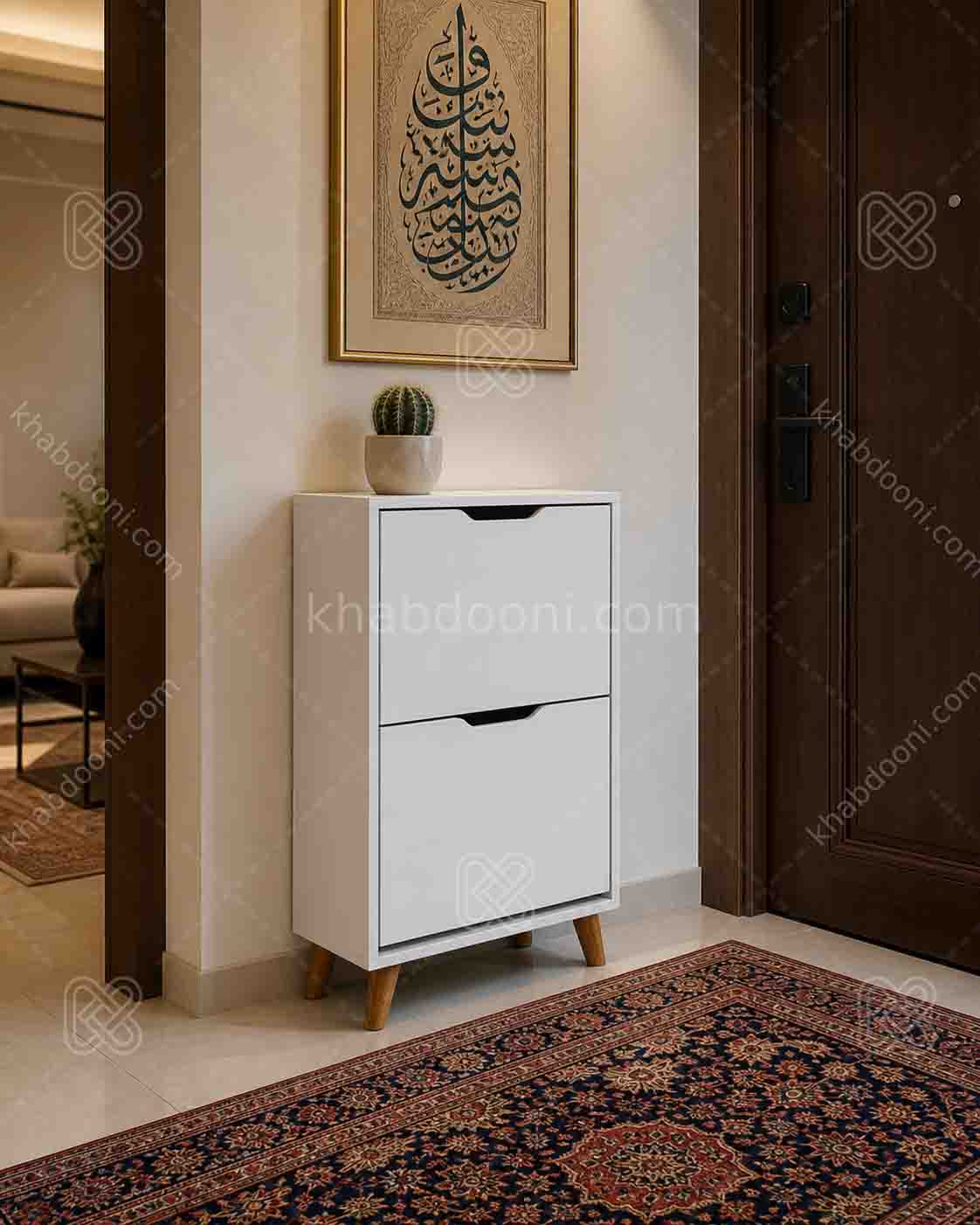 جاکفشی داشبوردی دو درب
