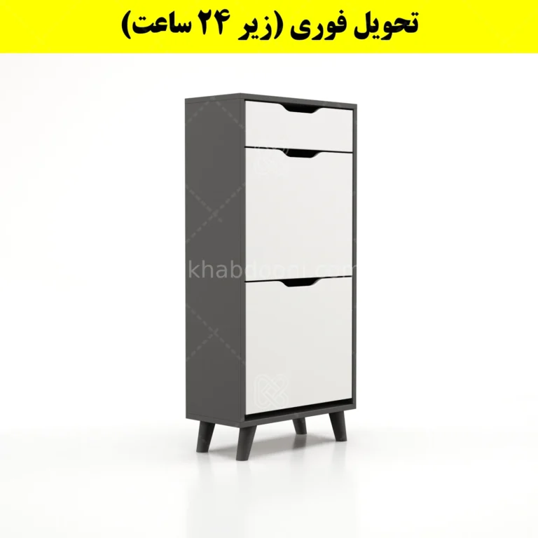 جاکفشی داشبوردی دو درب کشودار النا – طول 50 (تحویل فوری)