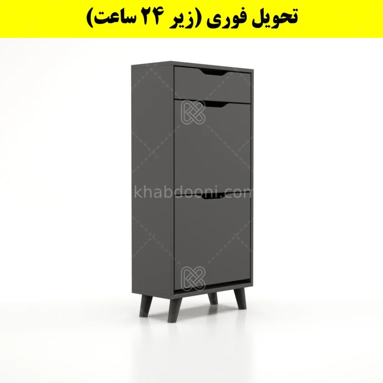 جاکفشی داشبوردی دو درب کشودار النا – طول 50 (تحویل فوری)