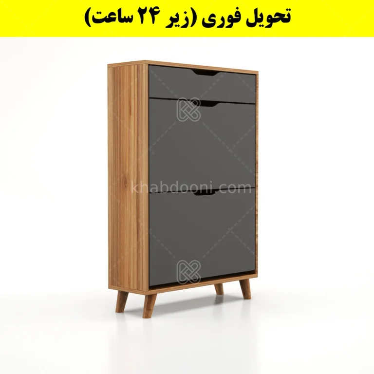 جاکفشی داشبوردی دو درب کشودار النا – طول 70 (تحویل فوری)